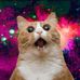 Kyle Langreder - Facebook