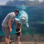 Kyle Lanoue - @k.lanoue - Instagram