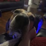 Kylea Lanouette - @kylealanouette - Instagram