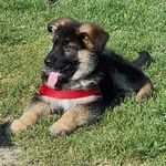 kyle - @kyleslatteryodonovan - Instagram