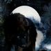 Kyle Laube - Facebook