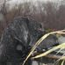 Kyle Lauer - Facebook
