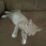 Kyle Lechner - @kylelechner898 - Instagram