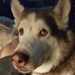 Kyle Lechner - @klechner69 - Instagram