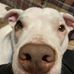 Kyle Ledford - Facebook