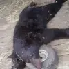 kyle ledford - @kyle.ledford4 - TikTok