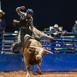 Kyle Ledford - @bearhunter1236 - Instagram