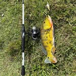 Kyle Lefebvre - @k_lefebvre07 - Instagram