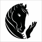 Kyle Legg - @equihandsuk - Instagram