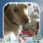 Kyle Leggett - @kyle.leggett.56 - Instagram