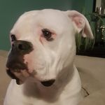 Kyle leggett - @kyle._leggett - Instagram