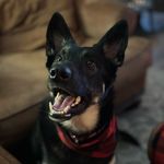 Kyle Lejeune - @kylejl98 - Instagram