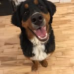 Kyle Lemieux - @mrlemieux89 - Instagram