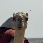Kyle Lemieux - @lemieux.kyle - Instagram