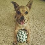 Kyle Leopold - @dunnerkyle34 - Instagram