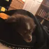 Kyle LePage - @kylelepage98 - TikTok