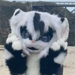 Kyle Light - @pikablukyle - Instagram