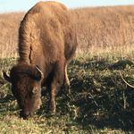 Kyle Lindgren - @kylelindgren2 - Instagram