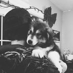 Kyle Lister - @kyllister - Instagram