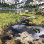 Kyle Long - @long_kyle_ - Instagram