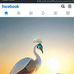 Kyle Loose - Facebook