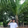 Kyle Louie - @kyle.louie20 - TikTok