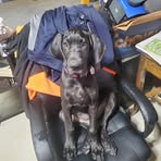 Kyle Ludy - Facebook
