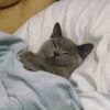 wookas - @lukas.kyle - TikTok
