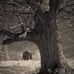 Kyle Luker - Facebook