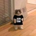 Kyle Ly - Facebook