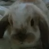 kylely - @msbriggs0 - TikTok