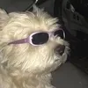 YUKITORI - @kylely - TikTok
