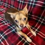 Kyle Lyons - @kylejlyons031907 - Instagram