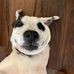 Kyle Mack - Facebook