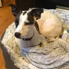 Kyle Mace - @kyle.mace1 - TikTok