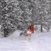 Kyle MacEachern - Facebook