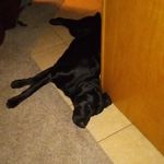 Kyle Macintyre - @macintyre571 - Instagram