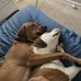 Kyle Macpherson - Facebook