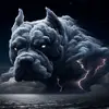 kylemacpherson - @kylemenejan - TikTok