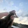 ‼️🤭 - @kayleemagyar - TikTok
