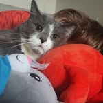 Kyle Mailloux - @squishypurrfection - Instagram