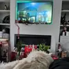 kyle__main - @kyle__main - TikTok