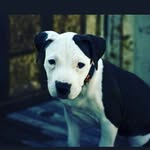 kyle Main - @kylemain36 - Instagram