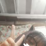 Kyle Maine - Facebook