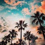 kyle maley - @kjmaley - Instagram