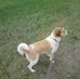 Gilla Malmborg - Facebook