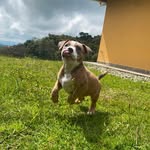 kyle Manuel medina - @kylemanuelmedina - Instagram