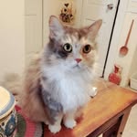 Kyle Manzi - @kylemanzi - Instagram