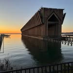 Kyle Martindale - @kylematilda - Instagram