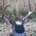 Kyle Martindale - Facebook